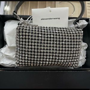 alexanderwang heiress pouch in rhinestone mesh